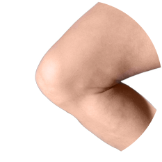 Laboriosità professionale